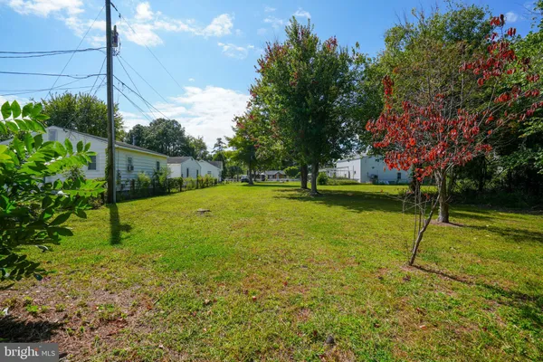 a view of a trees with a yard