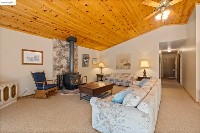 a living room with furniture a desk and chair with potted plants