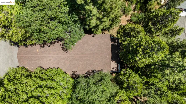 a plant that is in a garden