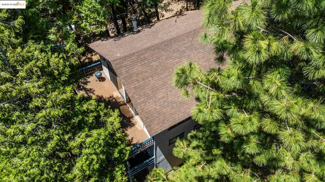 an aerial view of a house with a yard and plants