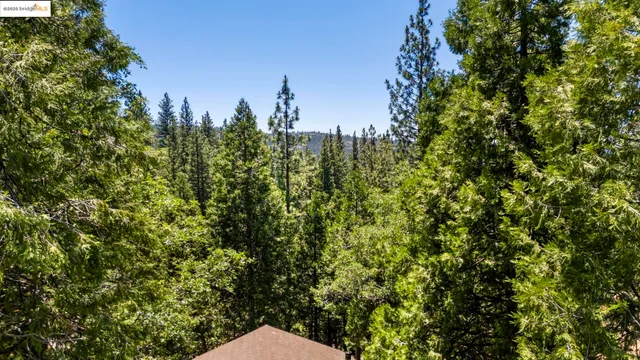 a view of a city with lush green forest