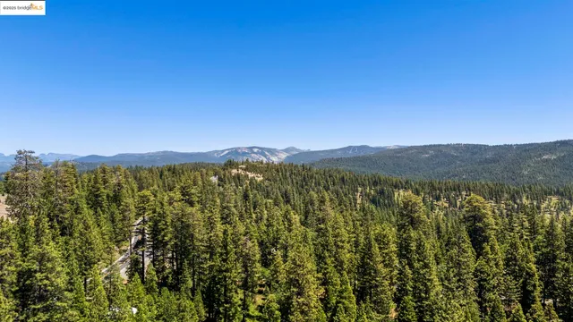 a view of a city with lush green forest