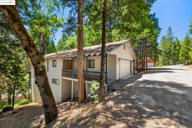 a view of a small garden