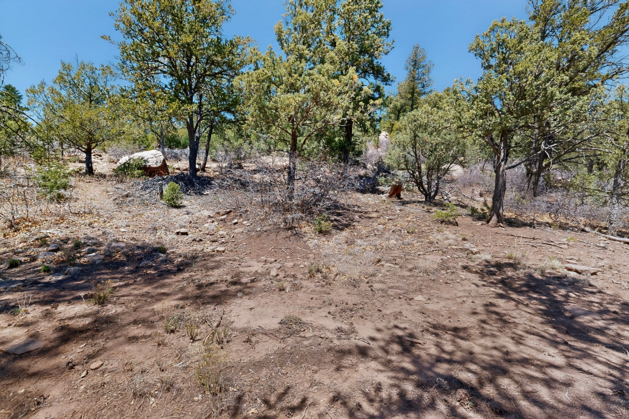 30 Monte La Cueva Road Glorieta, NM 87535 - Photo 83 of 91