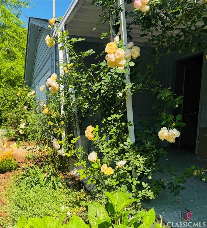 215 Cooper Road Athens, GA 30605 - Photo 30 of 41