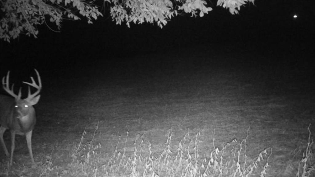 0 Ottumwa Road Wathena, KS 66090 - Photo 36 of 72