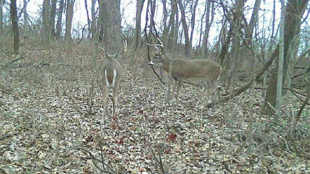 0 Ottumwa Road Wathena, KS 66090 - Photo 49 of 72