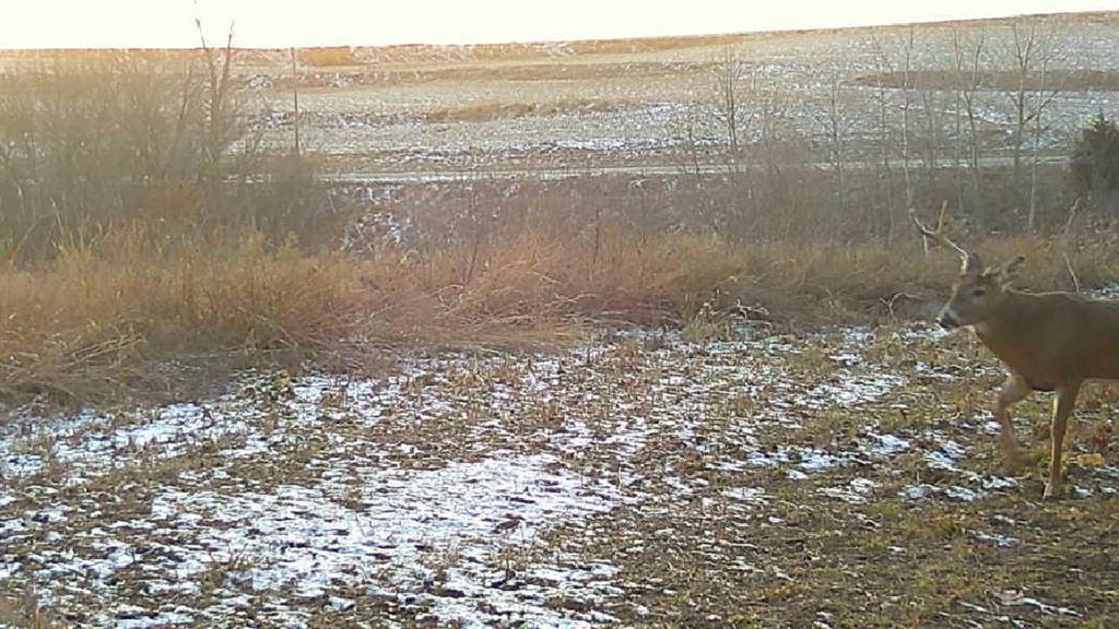 0 Ottumwa Road Wathena, KS 66090 - Photo 50 of 72