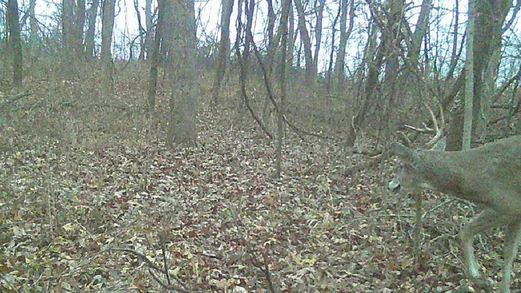 0 Ottumwa Road Wathena, KS 66090 - Photo 51 of 72