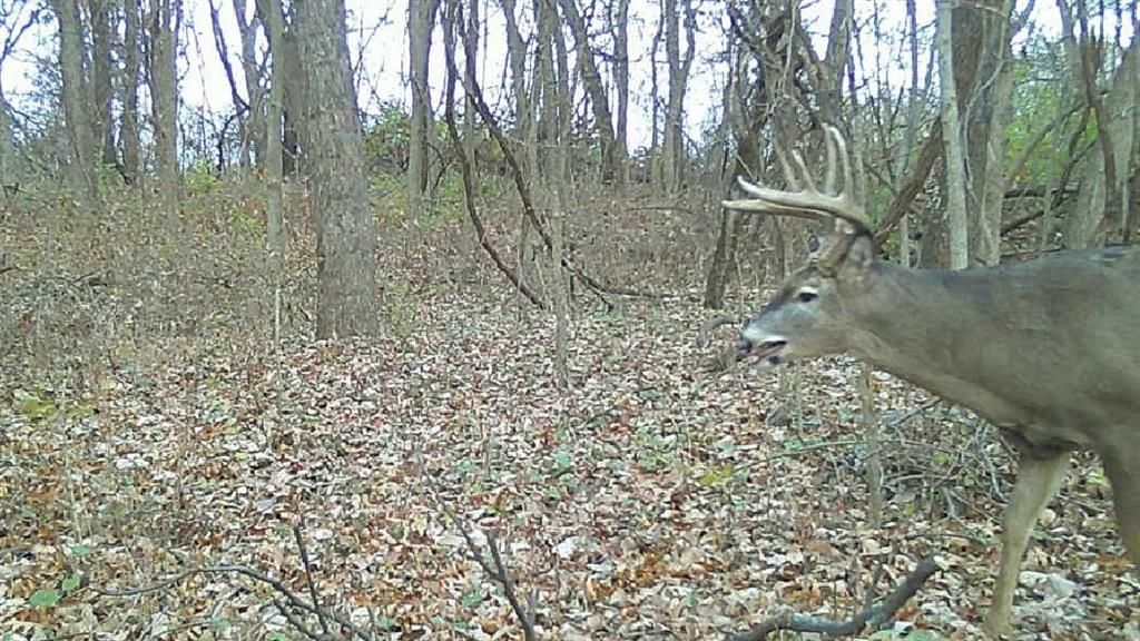 0 Ottumwa Road Wathena, KS 66090 - Photo 61 of 72