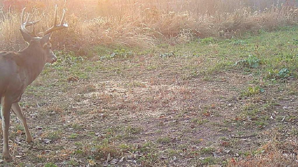 0 Ottumwa Road Wathena, KS 66090 - Photo 63 of 72