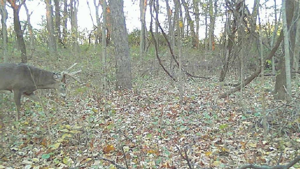0 Ottumwa Road Wathena, KS 66090 - Photo 64 of 72