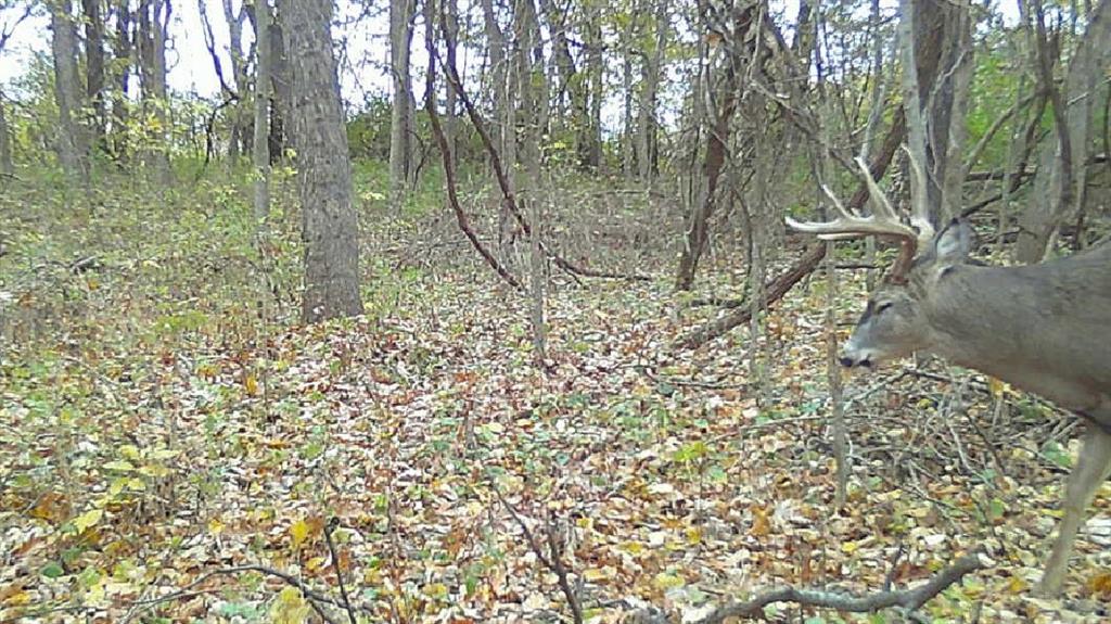 0 Ottumwa Road Wathena, KS 66090 - Photo 66 of 72