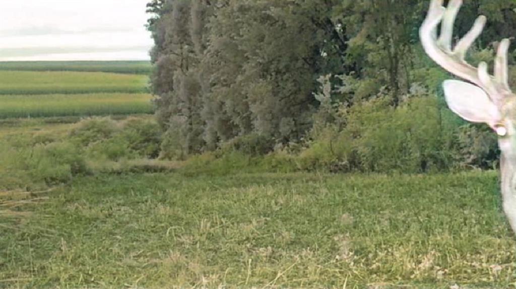 0 Ottumwa Road Wathena, KS 66090 - Photo 72 of 72