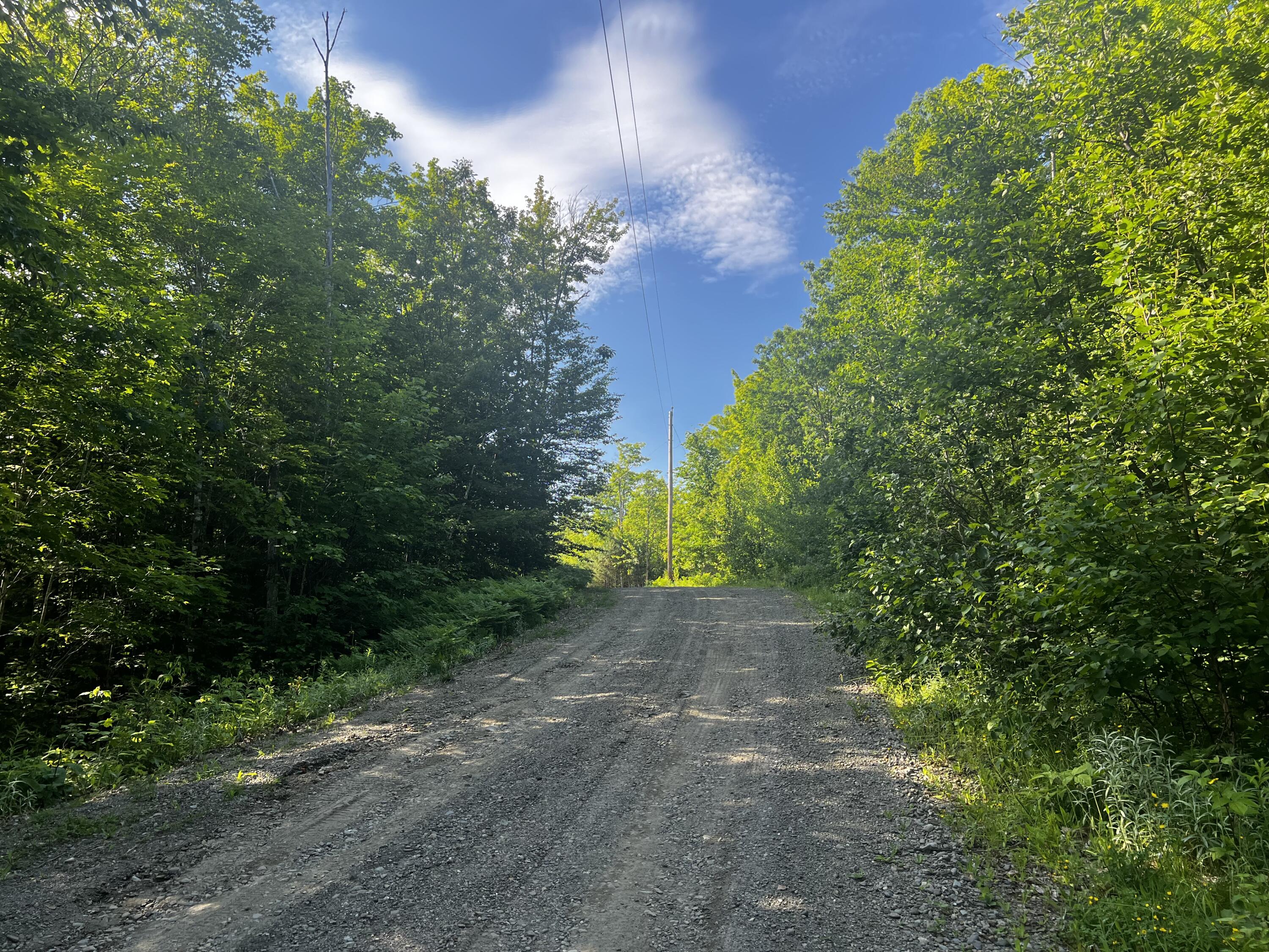 Lot 8 Mooseley Ridge Road Phillips, ME 04966 - Photo 3 of 14 Road