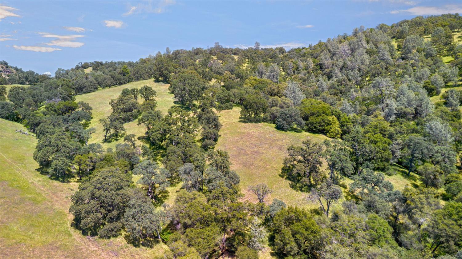 0 Bayne Road Garden Valley, CA 95633 - Photo 65 of 67 Gallery Image 65