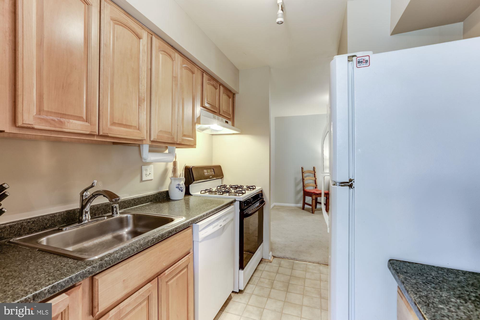 11260 Chestnut Grove Square, Unit 237 Reston, VA 20190 - Photo 20 of 37 Great open floorplan