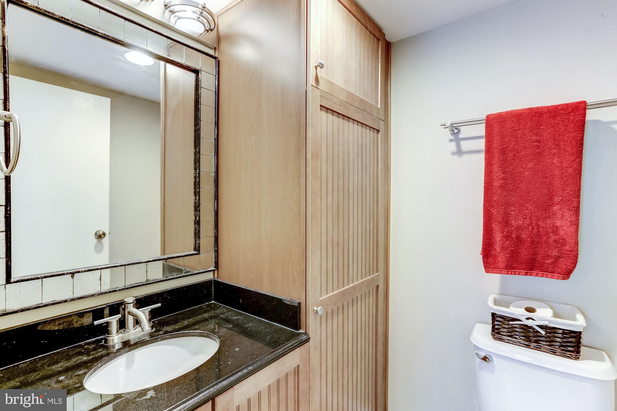 11260 Chestnut Grove Square, Unit 237 Reston, VA 20190 - Photo 30 of 37 Private half bath located within the 2nd bedroom