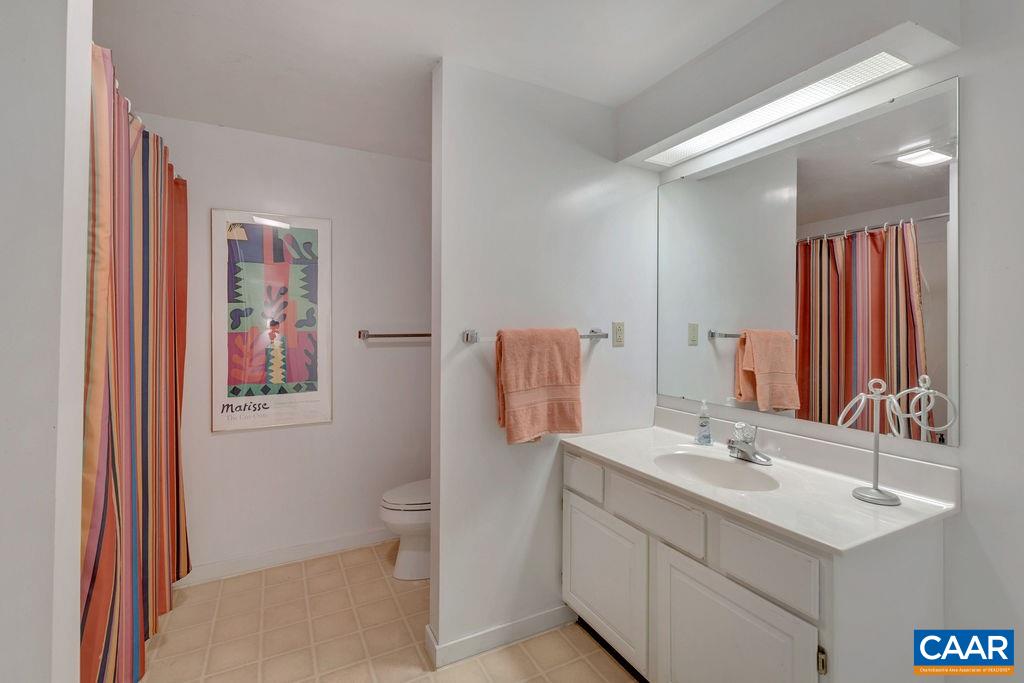 1903 Stillhouse Road Charlottesville, VA 22901 - Photo 36 of 44 a bathroom with a sink a toilet and shower