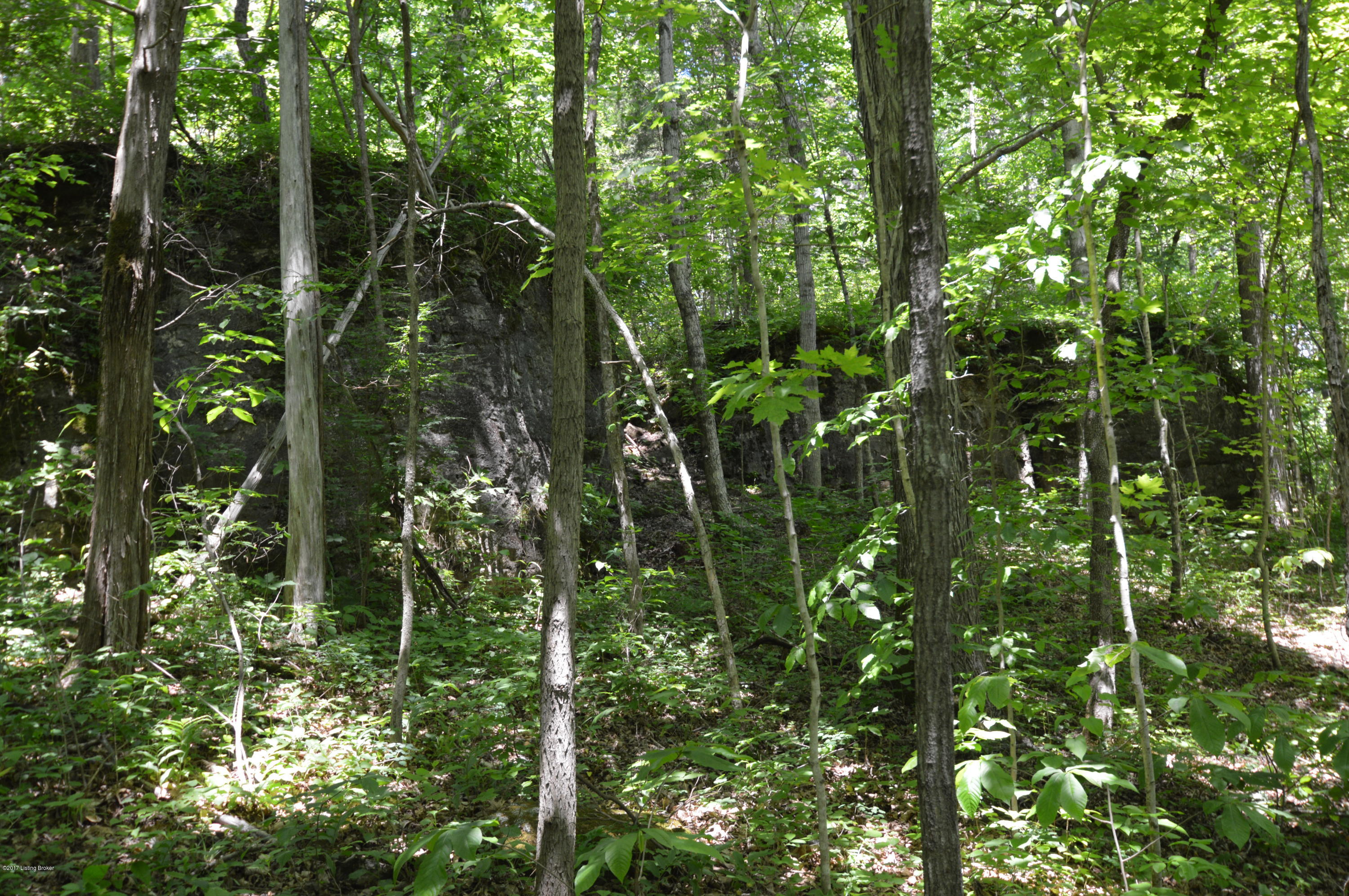 2795 Zoneton Road Shepherdsville, KY 40165 - Photo 88 of 105 DSC_1283