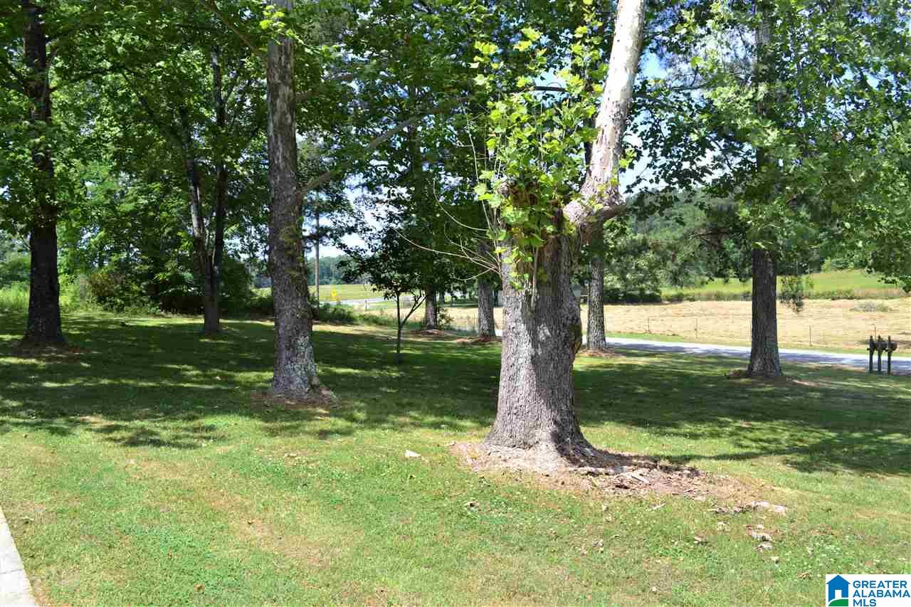 4231 Hopper Road Altoona, AL 35952 - Photo 35 of 39