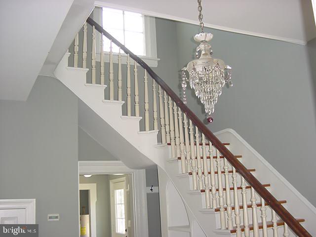 215 Blue Ridge Avenue Front Royal, VA 22630 - Photo 15 of 24