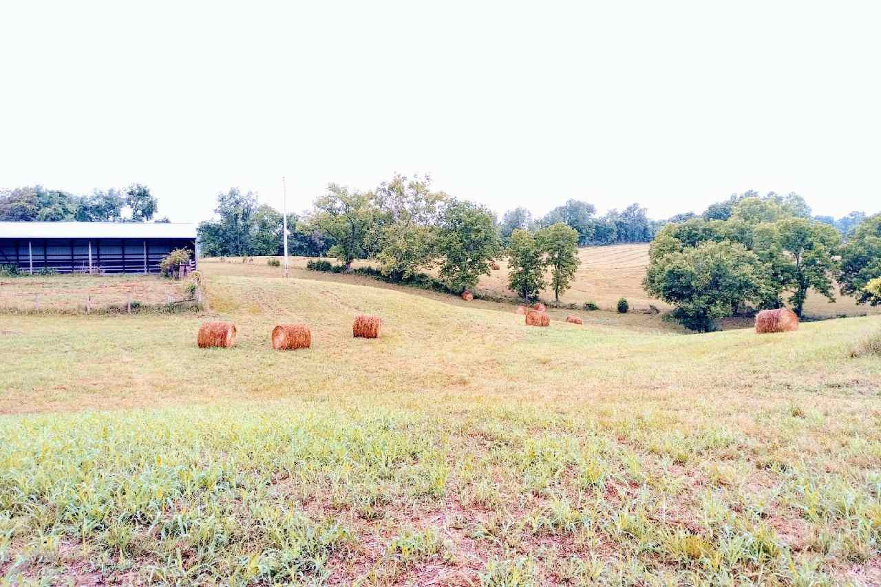 560 Frank Clark Road Owenton, KY 40359 - Photo 16 of 30 Gallery Image 16