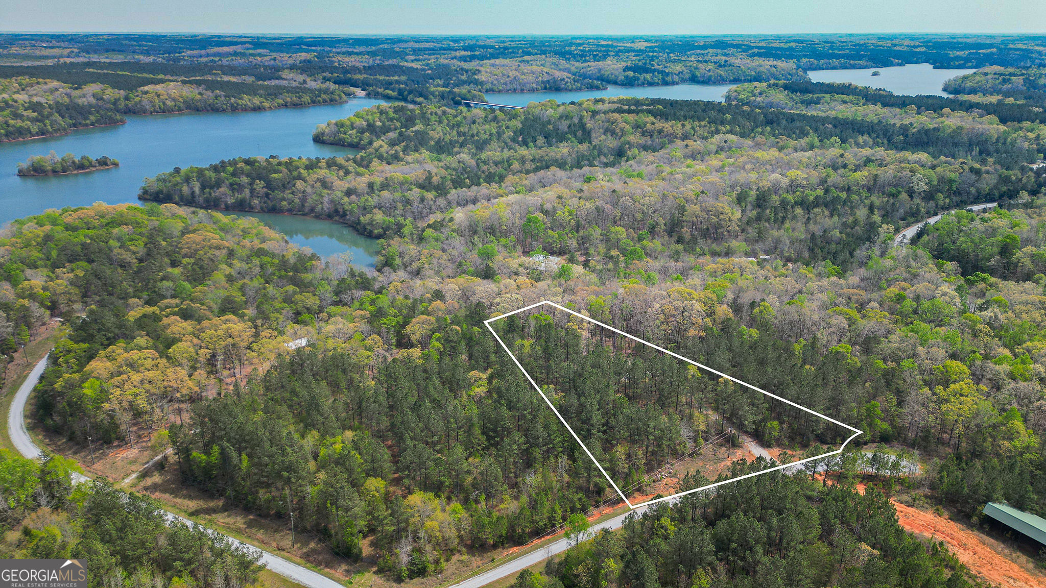 1043 Long Pne Lane Elberton, GA 30635 - Photo 5 of 5 a view of a forest from a balcony