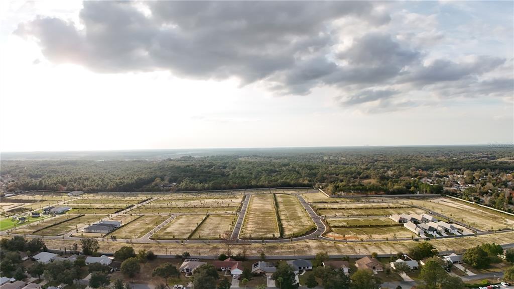 1870 West Shanelle Path Lecanto, FL 34461 - Photo 5 of 6