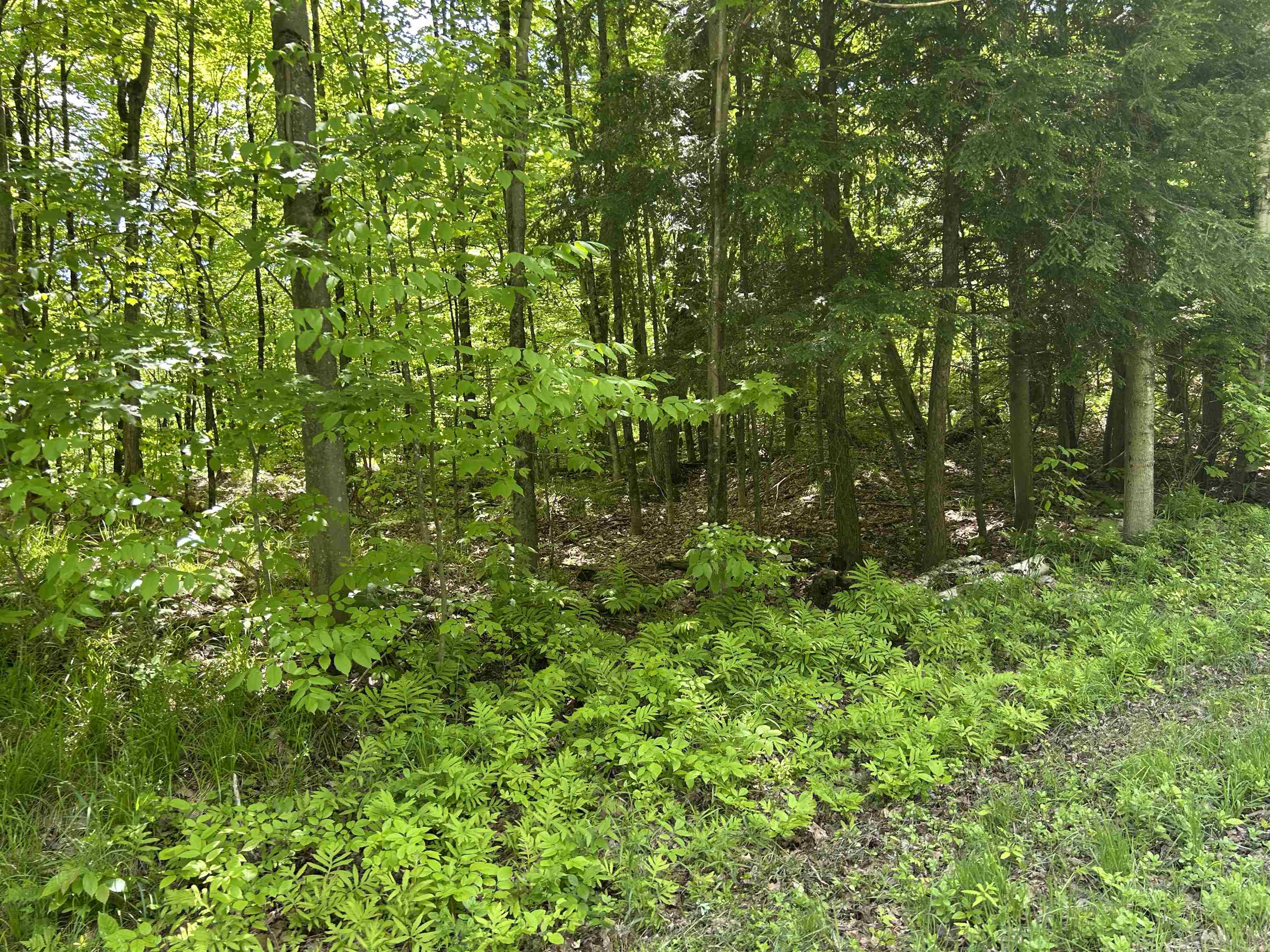 Lot 2 Pion Rd Street St. Albans, VT 05478 - Photo 14 of 15