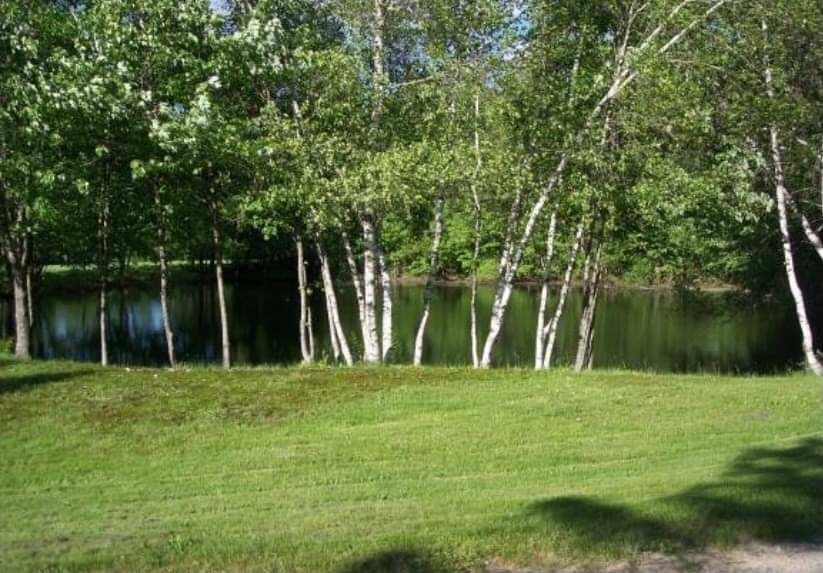 234 Stockbridge Corner Road Alton, NH 03809 - Photo 24 of 40