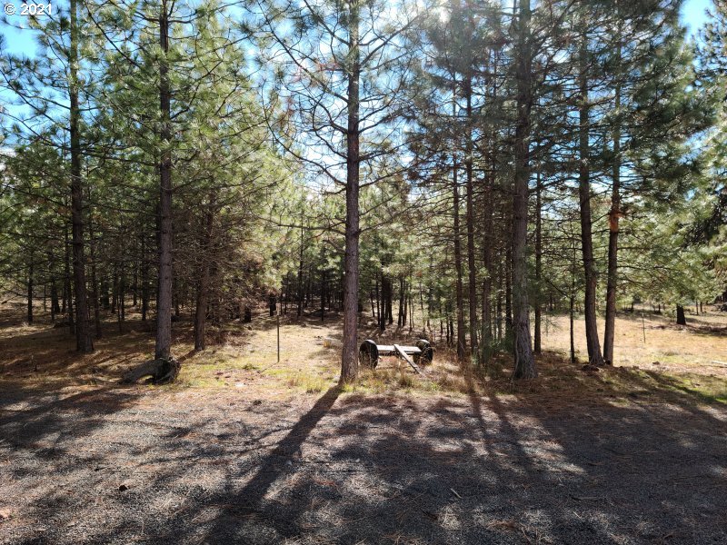 224 Goldenpine Goldendale, WA 98620 - Photo 21 of 22 Gallery Image 21