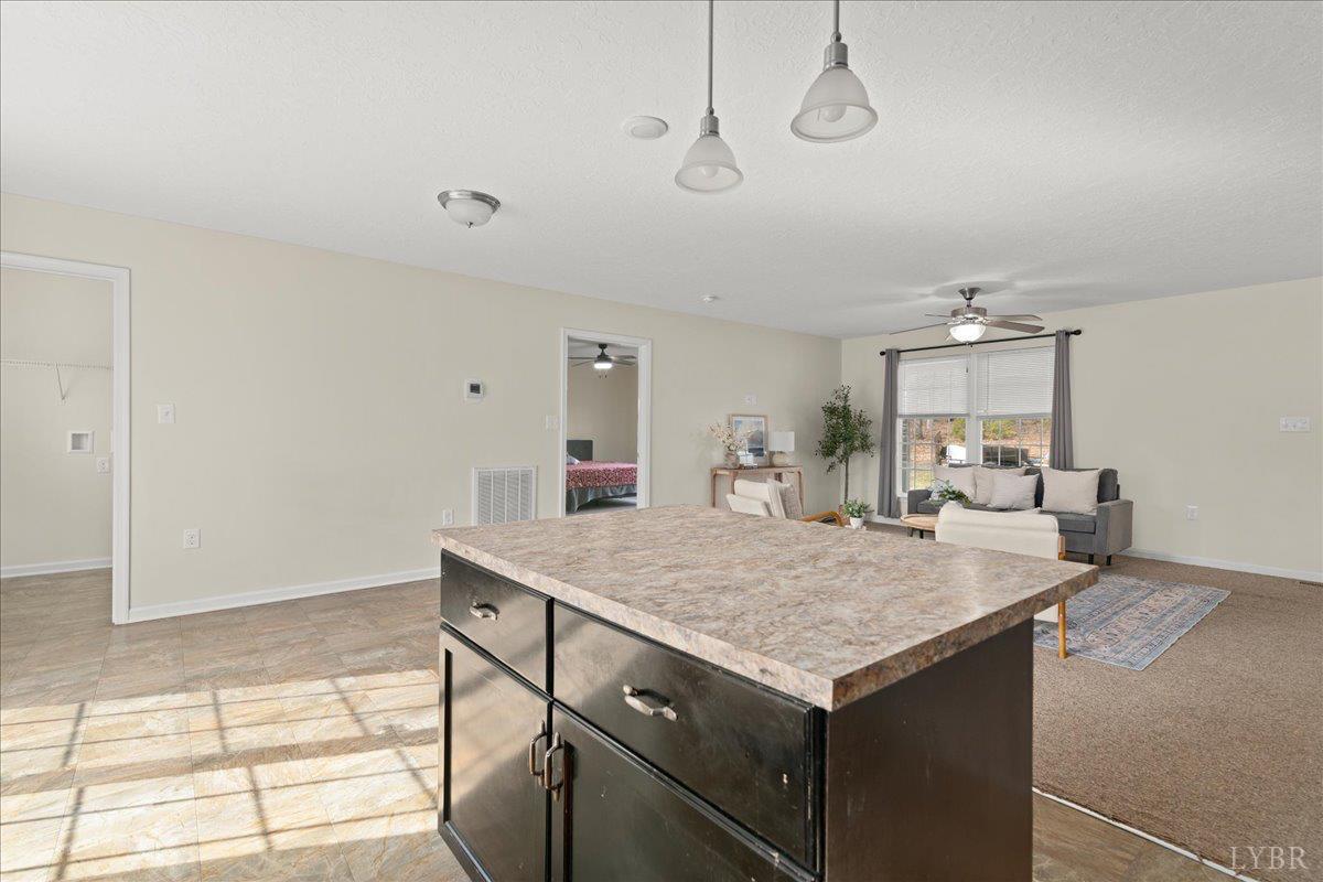 570 Kentmoor Farm Road Madison Heights, VA 24572 - Photo 9 of 38