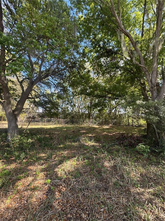 0 Denmark Street Bartow, FL 33830 - Photo 3 of 6 a view of a yard with large trees