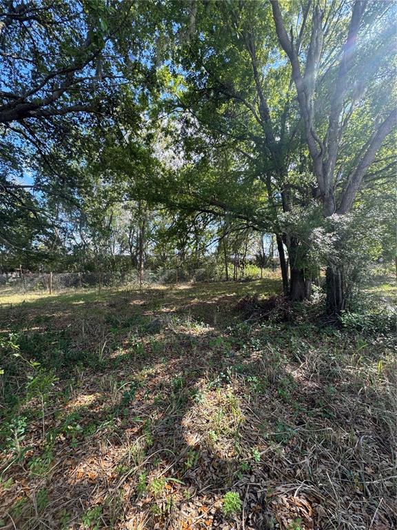 0 Denmark Street Bartow, FL 33830 - Photo 4 of 6 a view of a forest with lots of trees