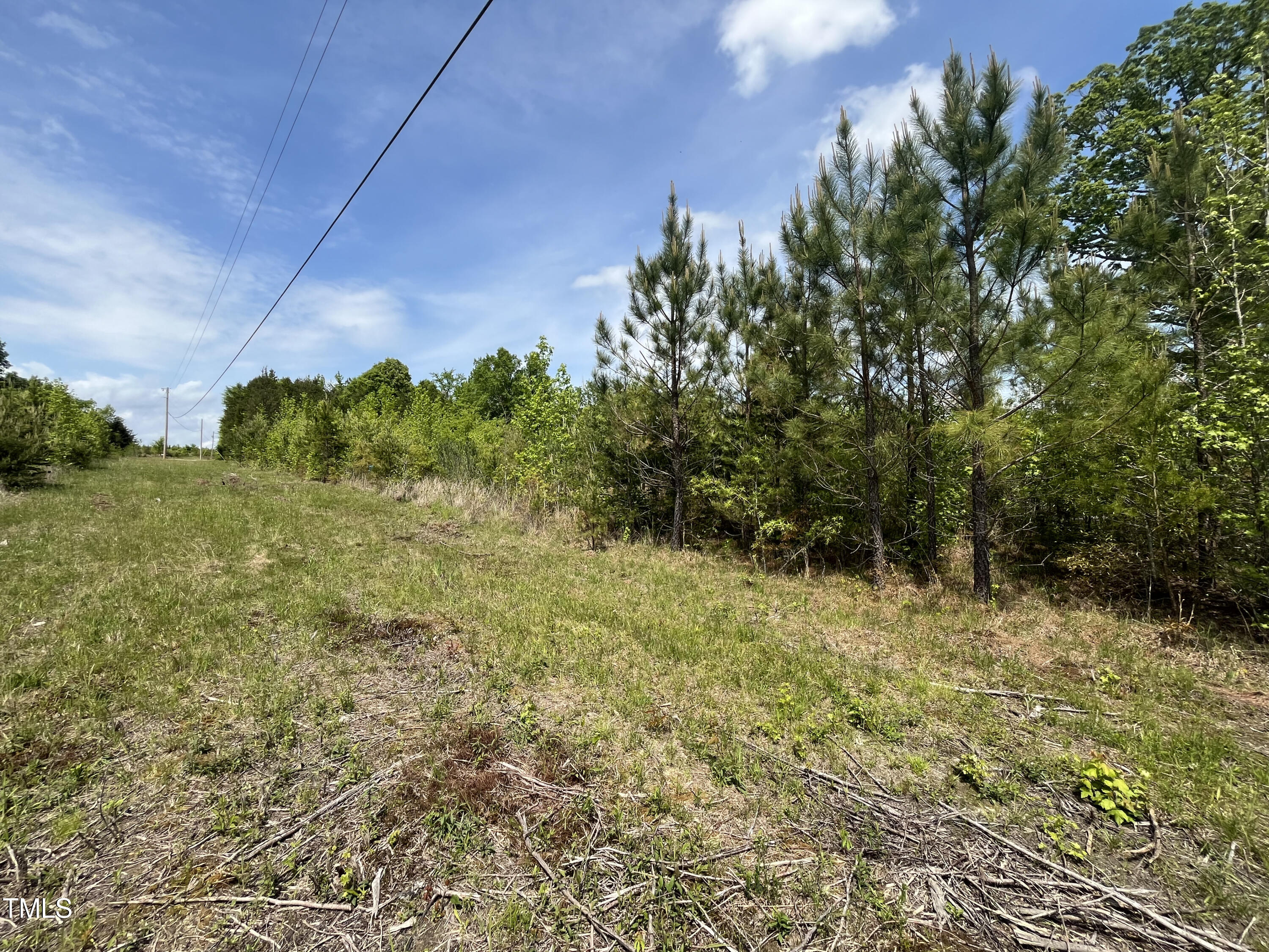 0 Allen Creek Road Rougemont, NC 27572 - Photo 6 of 9 05