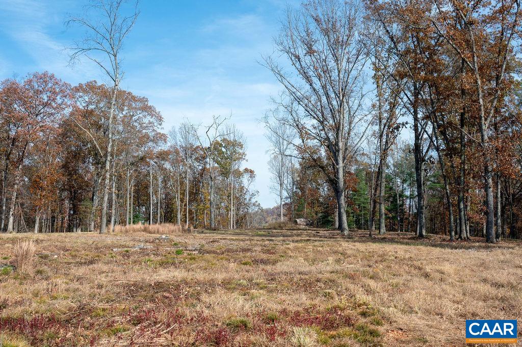Tbd Red Hill Road Charlottesville, VA 22903 - Photo 14 of 50 a view of outdoor space with trees
