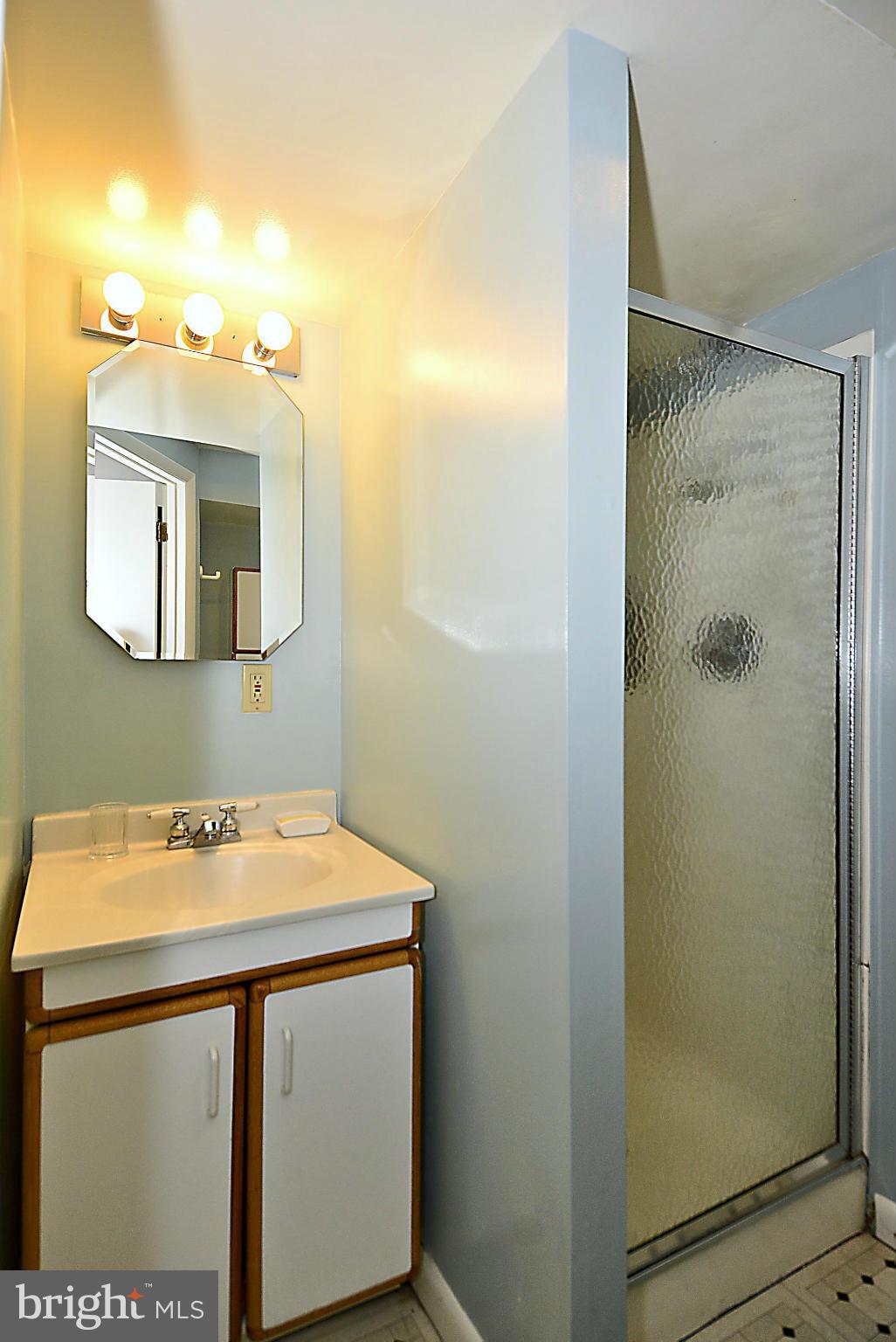 510 Ashford Road Silver Spring, MD 20910 - Photo 18 of 30 a bathroom with a sink and a mirror
