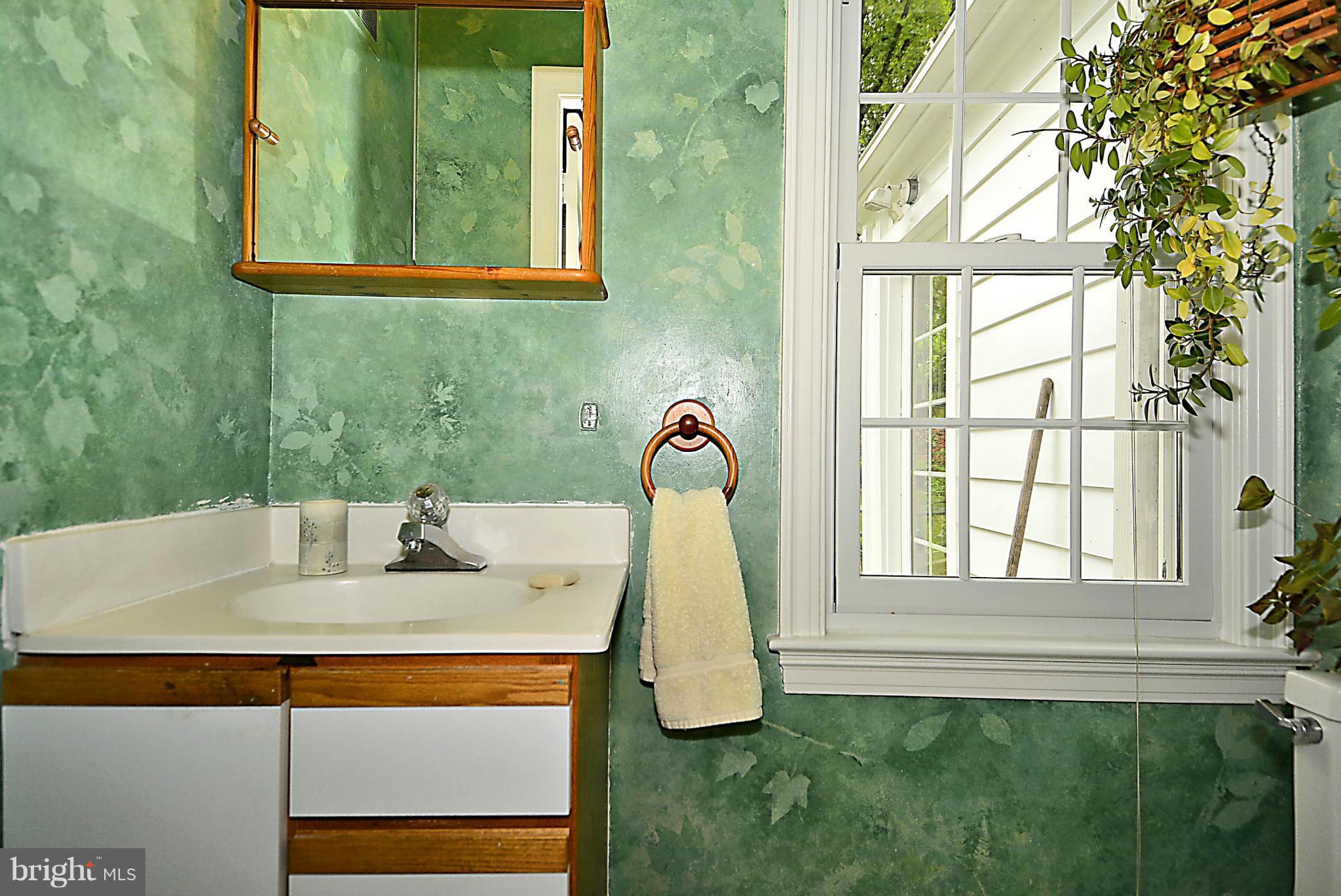 510 Ashford Road Silver Spring, MD 20910 - Photo 19 of 30 a bathroom with a sink and a window