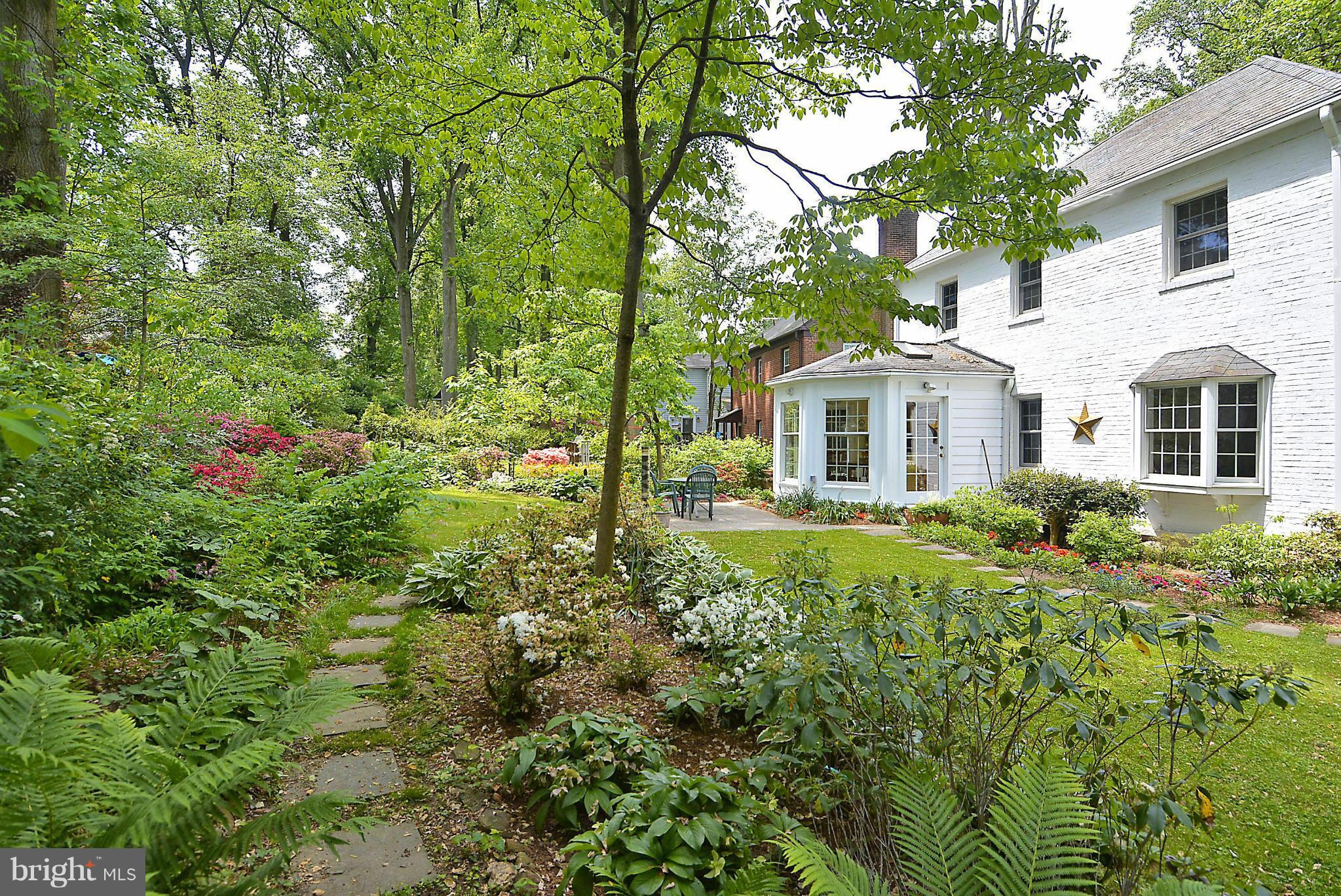 510 Ashford Road Silver Spring, MD 20910 - Photo 24 of 30 a view of a house with lots of plants and large trees