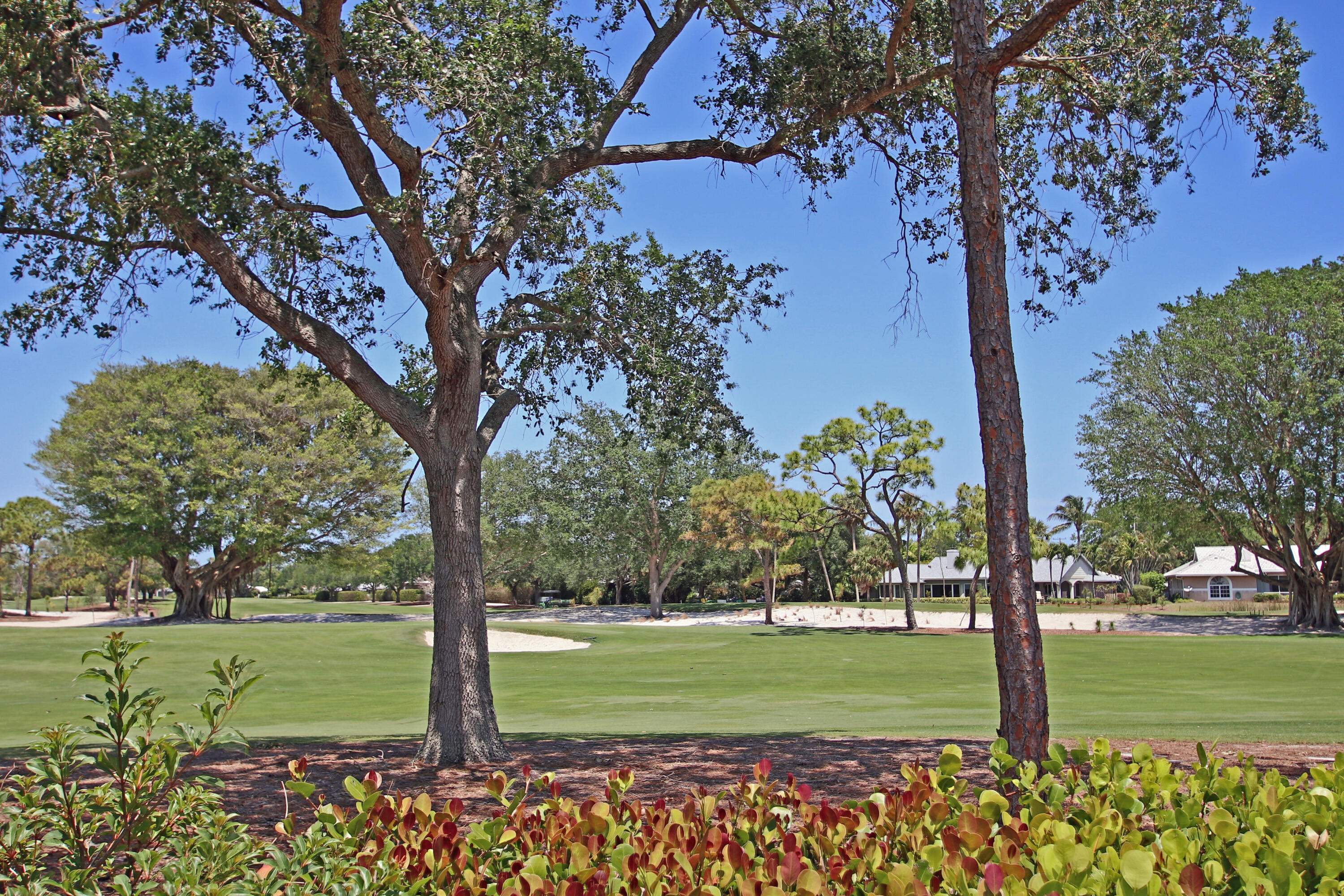 11 Bunker Place Tequesta, FL 33469 - Photo 39 of 43 Golfcourse View IMG_1590