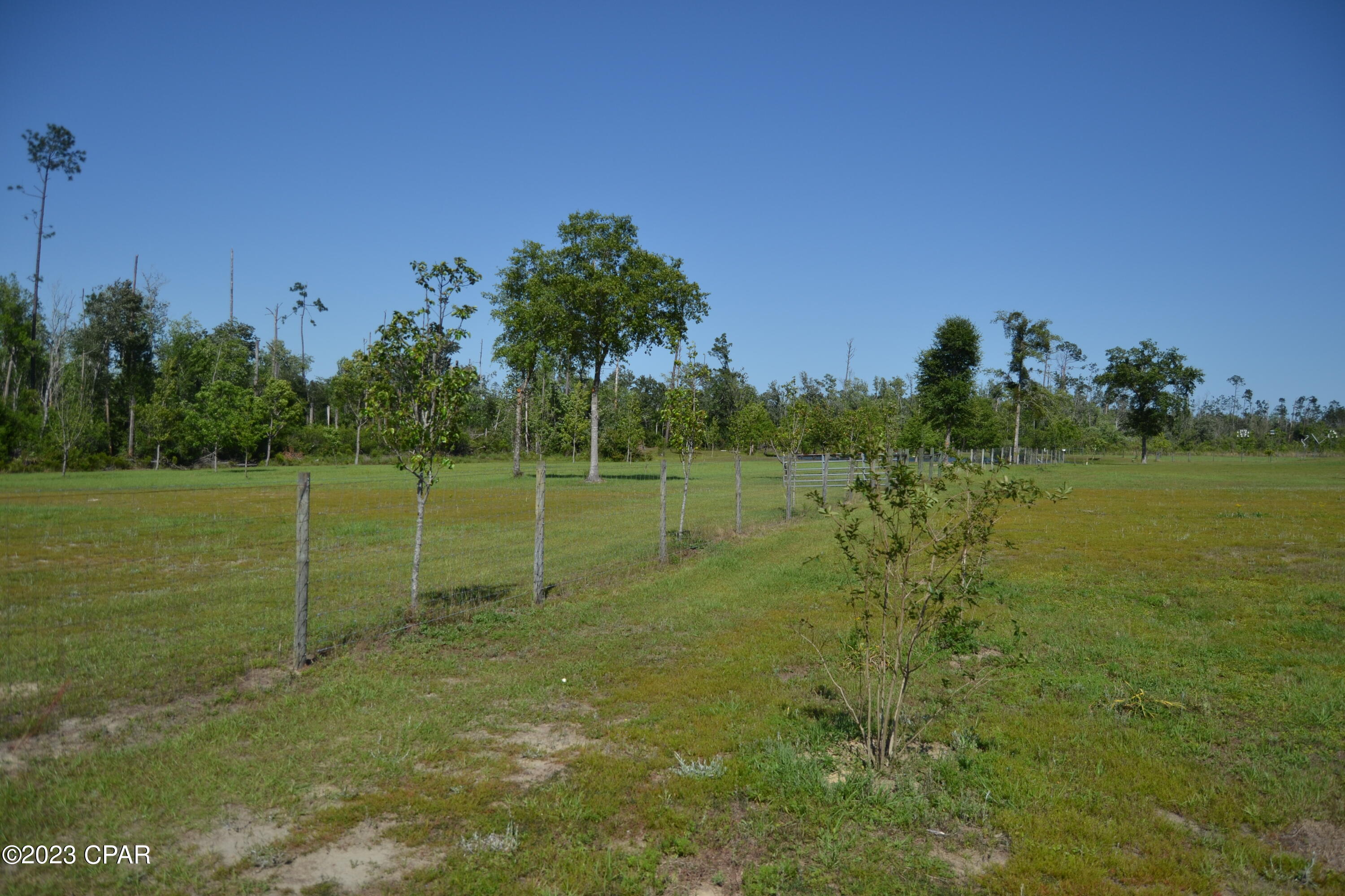 8114 Edlee Road Panama City, FL 32404 - Photo 60 of 63