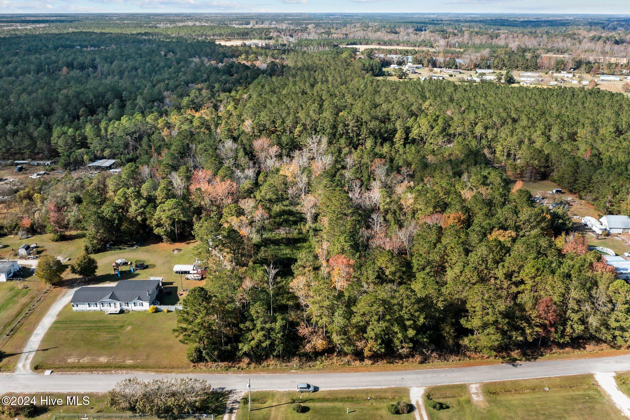 239 Old Timber Road Jacksonville, NC 28540 - Photo 3 of 15 3-web-or-mls-DJI_0850