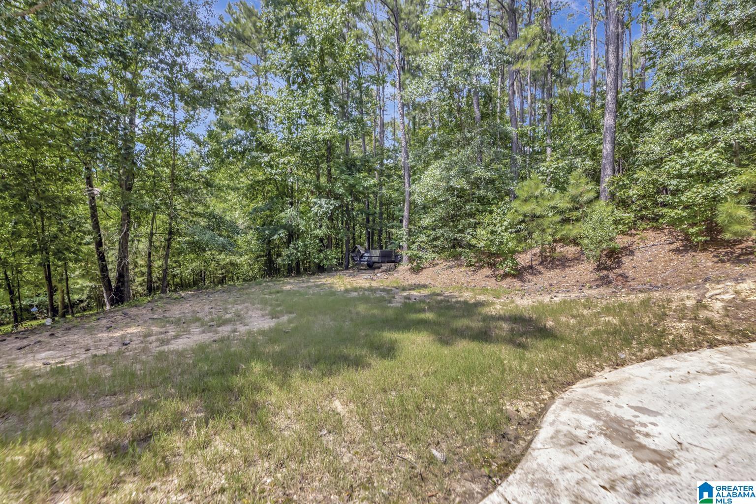 249 Grande View Circle Alabaster, AL 35114 - Photo 59 of 60