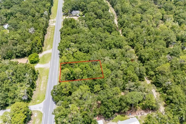 a view of a garden with plants