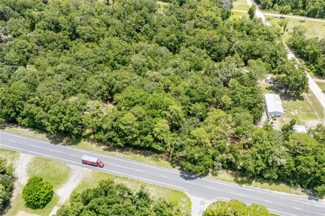a view of a garden with an outdoor space