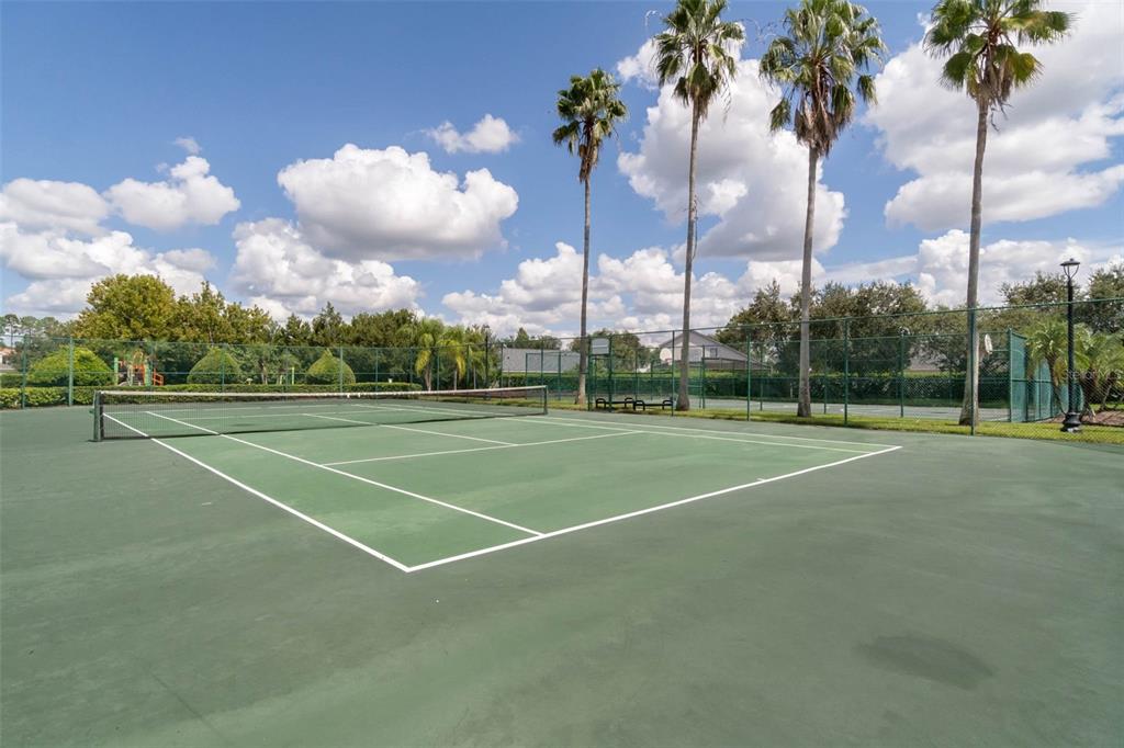 16031 Pebble Blf Loop Winter Garden, FL 34787 - Photo 48 of 51