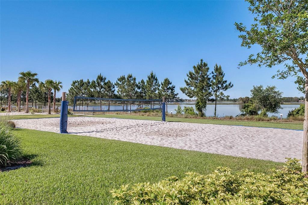 16031 Pebble Blf Loop Winter Garden, FL 34787 - Photo 50 of 51 a view of a yard with a tree