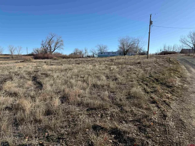 a big yard with a house in the background