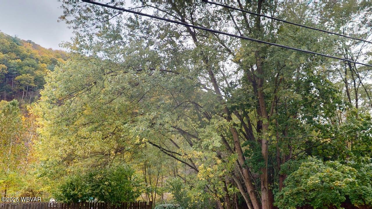 976 Powys Road Cogan Station, PA 17728 - Photo 28 of 36 Partly Wooded